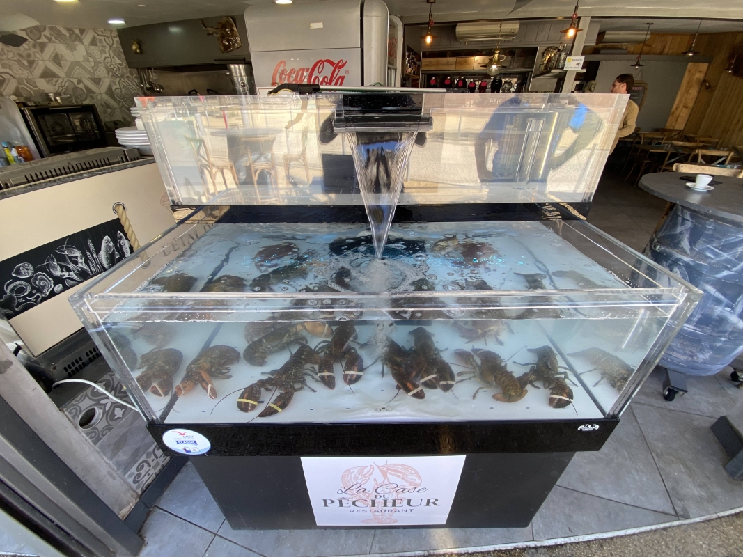 La Case Du Pêcheur - Restaurant Marseillan - Restaurant Cap d'Agde - Restaurant huîtres Marseillan