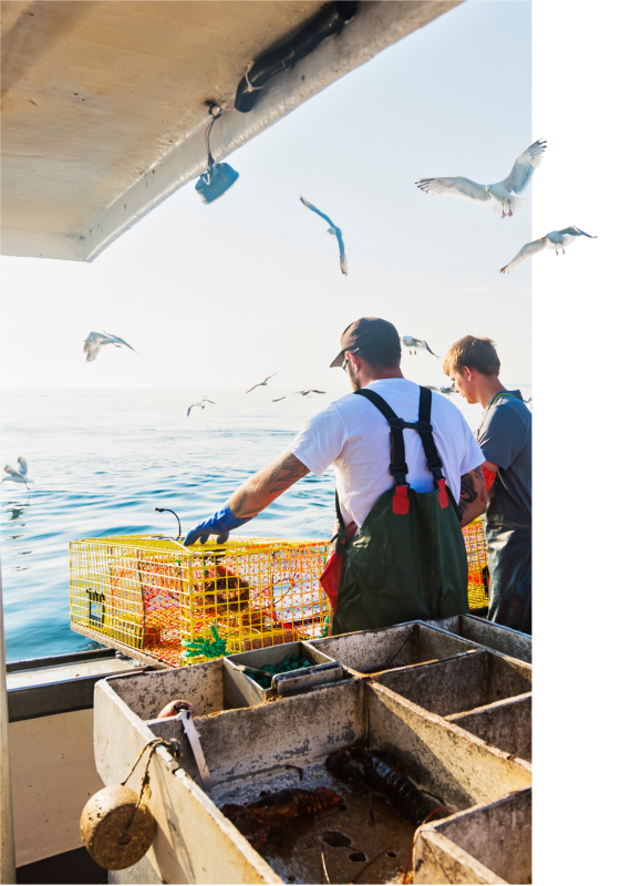 Le restaurant - La Case Du Pêcheur - Restaurant Marseillan - Restaurant fruits de mer Marseillan - Restaurant fruit de mer Cap d’Agde